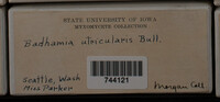 Image Associated With the Occurence